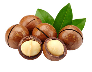 hazelnuts isolated on white background