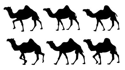 set of camel silhouette vector on tranparent background