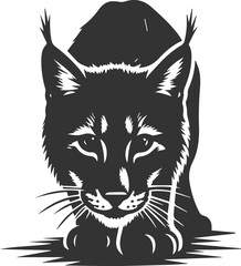 Wildcat  lynx vector animal silhouette