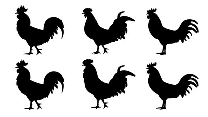 set of rooster different pose silhouette vector