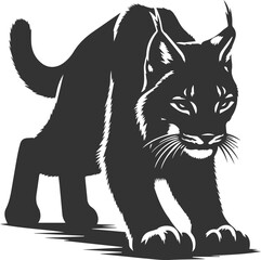 Wildcat  lynx vector animal silhouette