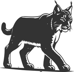 Wildcat  lynx vector animal silhouette
