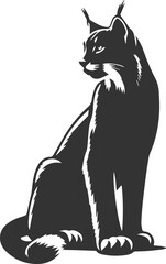 Wildcat  lynx vector animal silhouette
