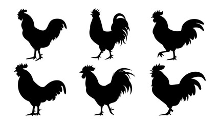 set of rooster different pose silhouette vector