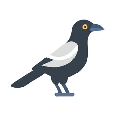 Simple flat vector image of a magpie bird