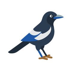 Fototapeta premium Stylized Magpie Illustration Perched Against Plain Black Background