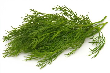 Preparing fresh herbs use in cooking Aromatic ingredients no text