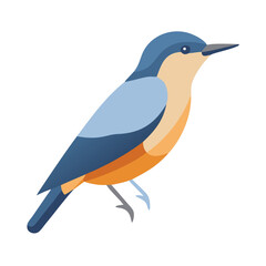 Flat vector illustration of a blue nuthatch bird