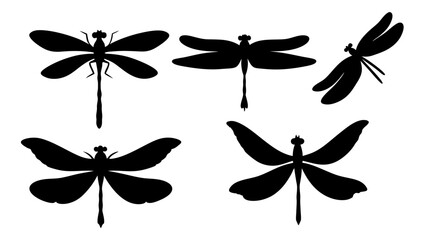 set of dragonfly silhouette