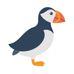 Illustration of an Atlantic Puffin bird with flat design