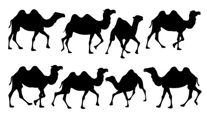 set of camel silhouette vector on tranparent background