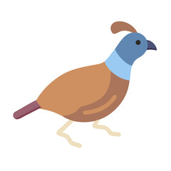 Flat vector illustration of a cute quail bird icon