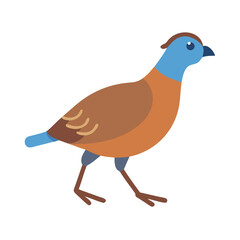 Stylized partridge illustration in profile against a black background