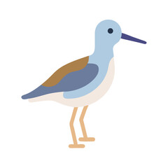 Flat vector illustration of a shorebird in profile view
