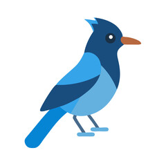 Flat vector illustration of a blue jay bird graphic
