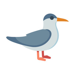 Simple seagull illustration on black background in flat style