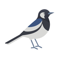 Fototapeta premium Stylized magpie bird in flat design against dark background