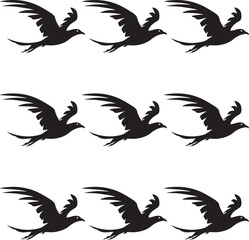Black of Rallied birds vector illustration. Silhouette flying Rallied birds set. 