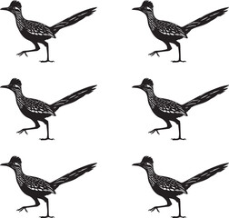 Vector illustration set of silhouettes of Roadrunner birds. 