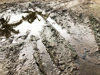 muddy dirt road surface