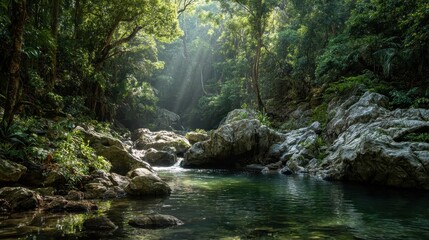 Obraz premium Tranquil River Flowing Through Lush Green Jungle with Sunlight Streaming Down and Rocks Surrounded by Dense Tropical Foliage and Clear Water Reflections