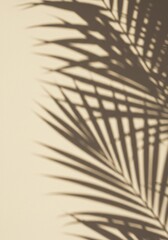 Fototapeta premium Palm Leaf Shadow on Beige Wall