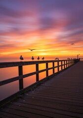 Fototapeta premium Seagulls on a Wooden Pier at Sunset