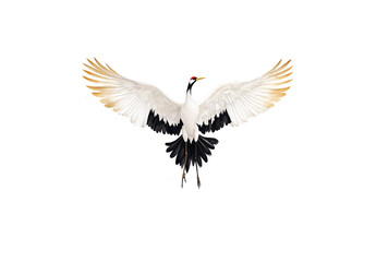 Obraz premium White crane, Chinese style, on a white background