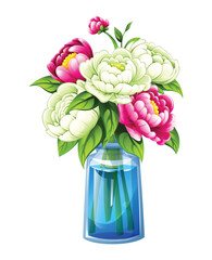 Mix of pink and white peonies in a tall vase with water and green leaves. Vector cartoon illustration