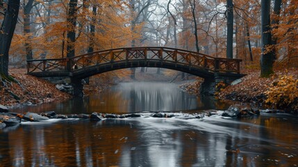 Wooden bridge over calm rural stream