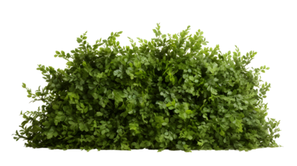 greenery transparent background png