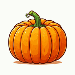 pumpkin vector illustration 