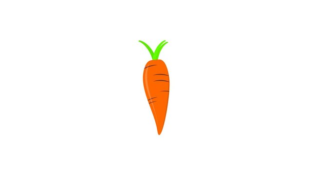 carrot on white background. simple animation, motion graphics.