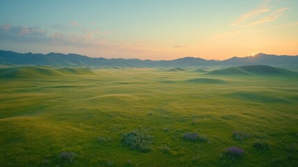 Obraz premium Vast grassy plains meet sunrise-tinged mountains