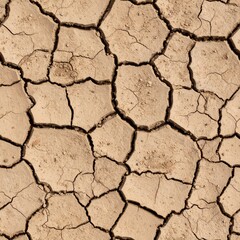 Dry Cracked Earth Texture