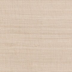 Natural Beige Linen Texture