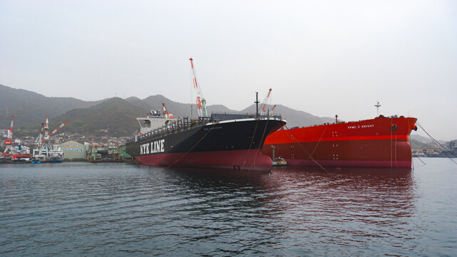 Kure, Japan - November 13, 2010:  NYK Arcadia (container ship) and FPMC C Knight (crude oil tanker) at Kure shipyard in Japan