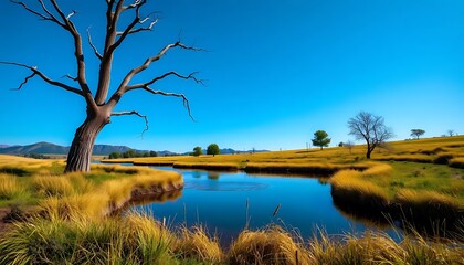 Serene waterside landscape with golden grasses and a lone, bare tree under a vibrant blue sky