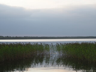 Nature view with lake, reeds and sky. Rain cloud over lake. Environment and ecology