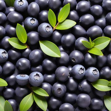 Acai isolated on a with a white background