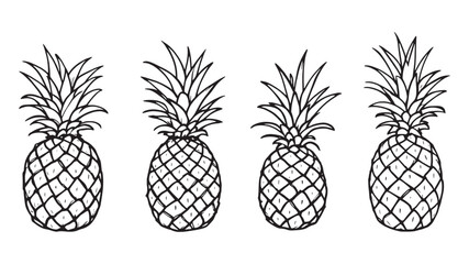 Fototapeta premium Pineapple line art sketch showcasing natural fruit texture and form