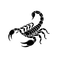 vector illustration of a scorpion on white background