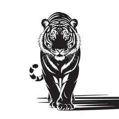 tiger vector illustration