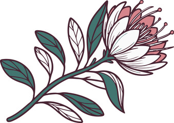 Detailed illustration of fuchsia flowers with buds and leaves

