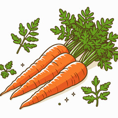 vector illustration of carrots