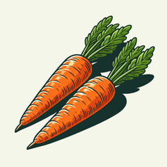 vector illustration of a carrot