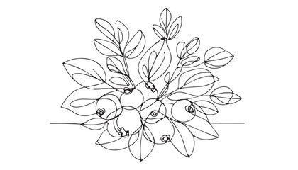Continuous one single minimal line drawing Blueberry fruits