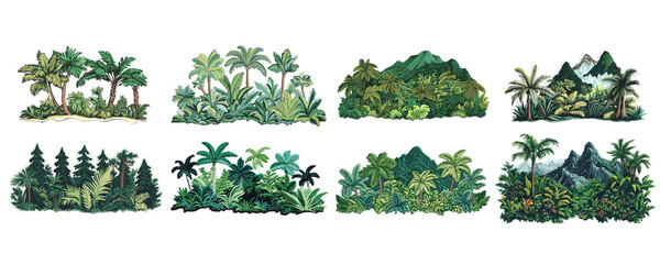 Tropical Trees in Green Forest