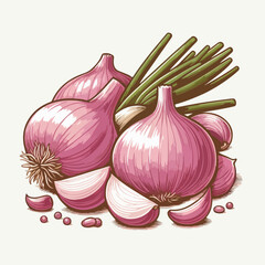 garlic isolated on white