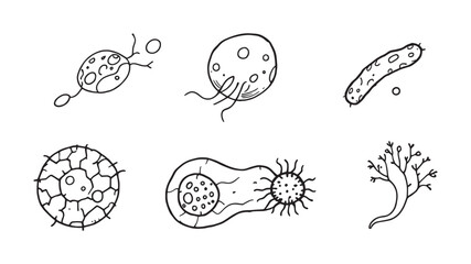 Biology Cell Diagram line art emphasizing plant and animal cells